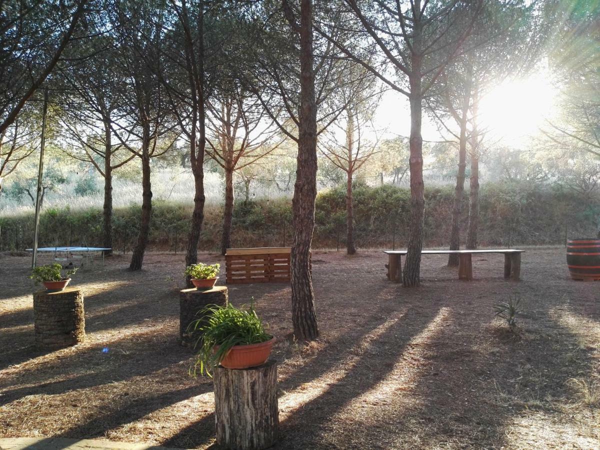 Dolce Vita Campiglia Marittima Exterior foto